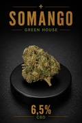 Somango Green House | Flor CBD 6,5%