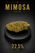 Mimosa Indoor | Flor CBD Premium 22,5%
