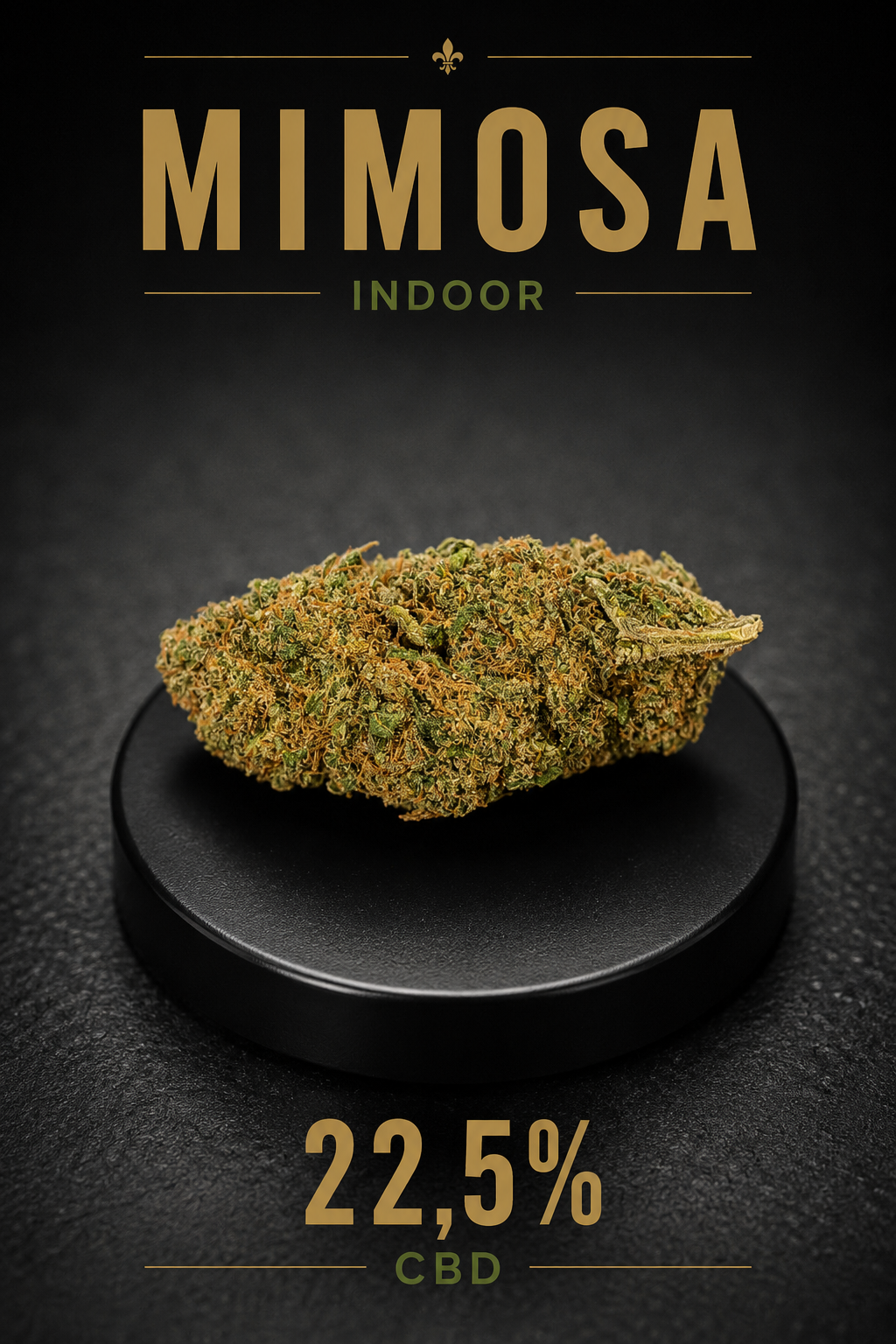 Mimosa Indoor | Flor CBD Premium 22,5%
