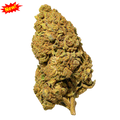 𝐂𝐀𝐋𝐈 𝐎𝐂𝐓𝐀𝐍𝐄