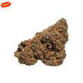 𝐆𝐑𝐀𝐏𝐄 𝐌𝐀𝐃𝐍𝐄𝐒𝐒