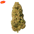 𝐌𝐄𝐃𝐄𝐋𝐋Í𝐍