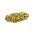 𝐌𝐈𝐌𝐎𝐒𝐀