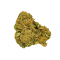 𝐏𝐇𝐀𝐍𝐓𝐎𝐌 𝐎𝐆